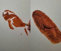 【二度と見られないパン】イラストレーターが描く「焼きそばパン」がただのパンじゃない！