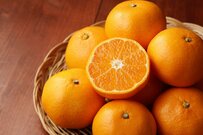 【国民年金・厚生年金】2024年度、65歳になった人の《2025年度 年金モデルケース》現役時代の働き方別、5パターンを見てみる！