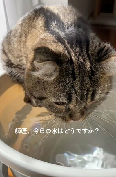 バケツを覗き込みながら水の様子を確認