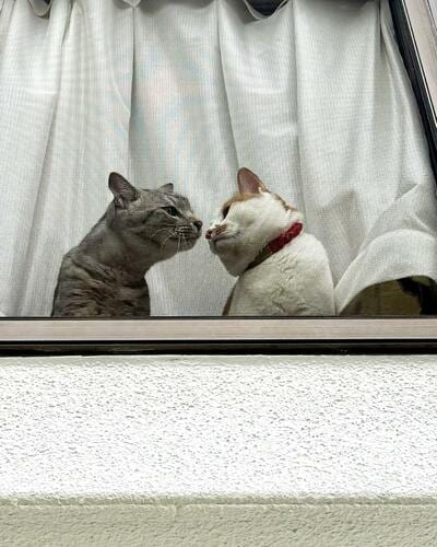投稿の画像