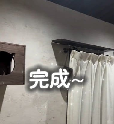 投稿の画像