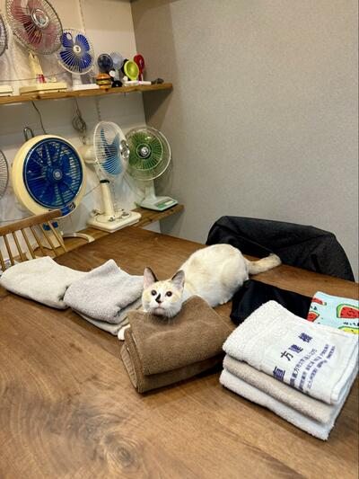 投稿の画像