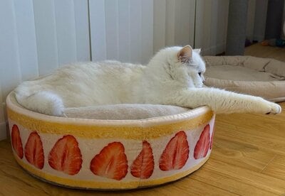 まるで空を飛ぶヒーローのようなポーズ！