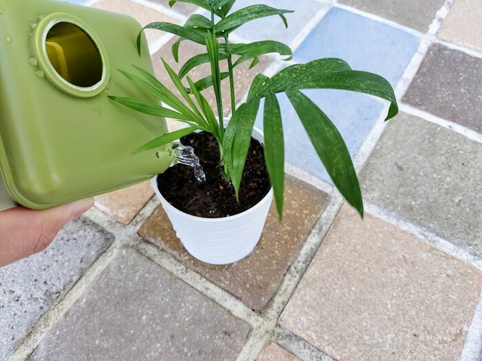 セリア・じょうろ キューブタイプ 240ml