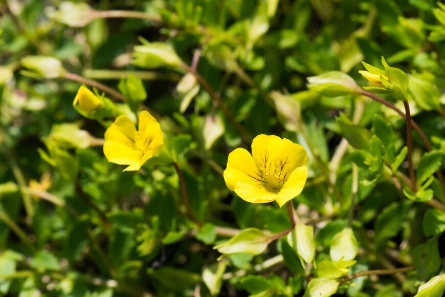 hihina/istockphoto.com