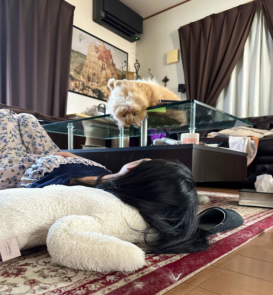 出所：@NEKOLAND13