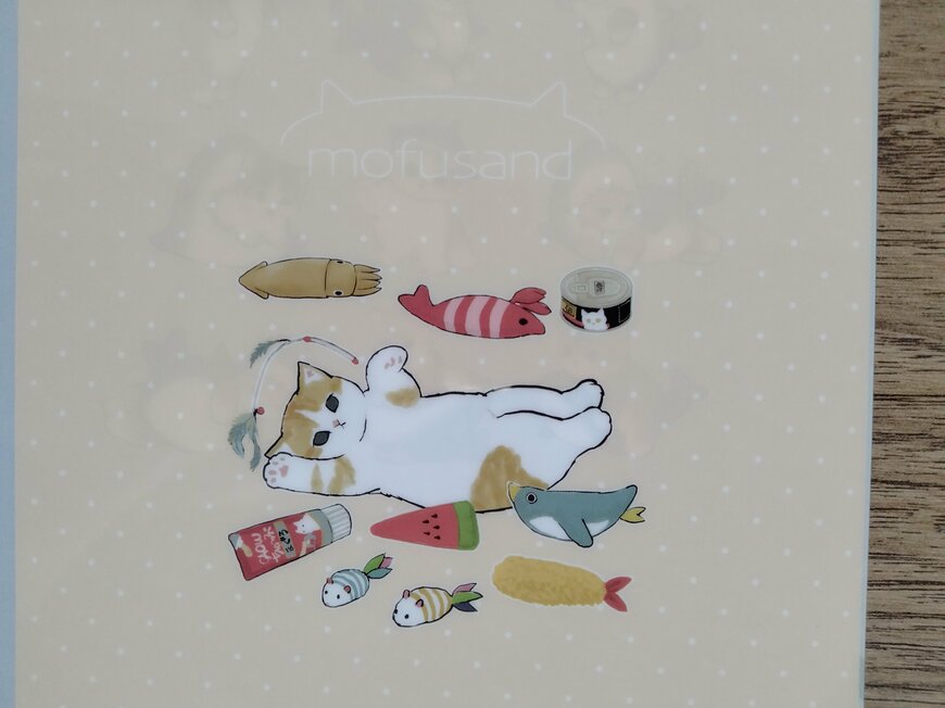 筆者撮影（セリア、mofusand A5 見開きファイル）