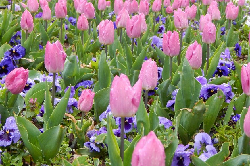 Lidija Zivic/istockphoto.com