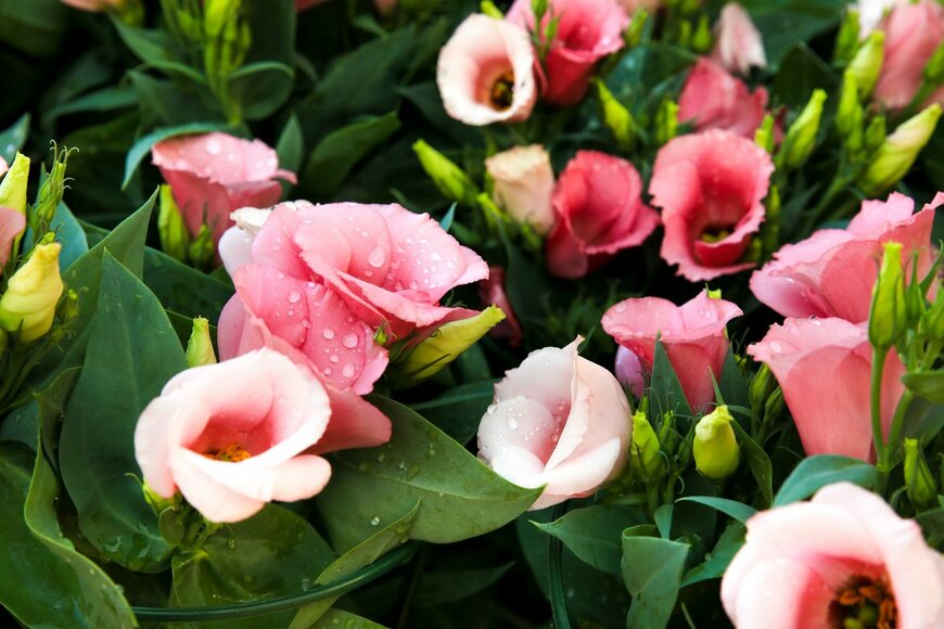 Sonia Bonet/shutterstock.com