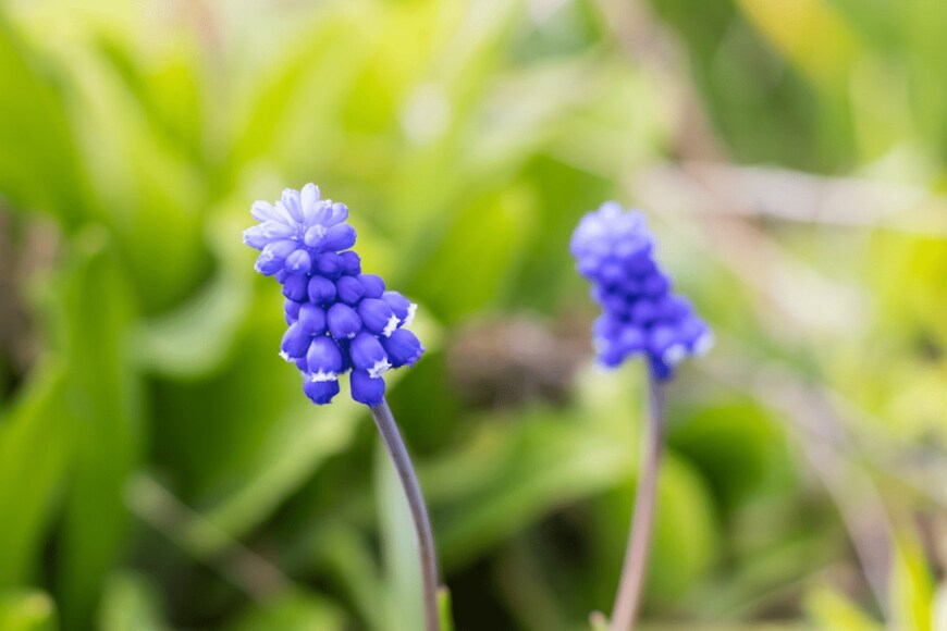 ekaterina/istockphoto.com