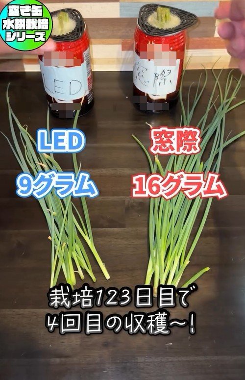 出所：mikanbo_ya19_87