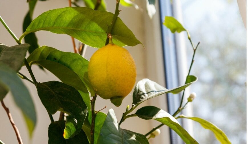 OlyaSolodenko/istockphoto.com