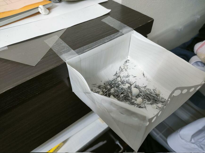 出所：@Angel__tus2B