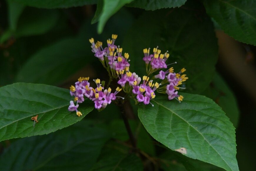 undefined undefined/istockphoto.com