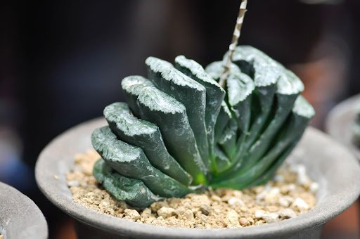 Job Narinnate/shutterstock.com