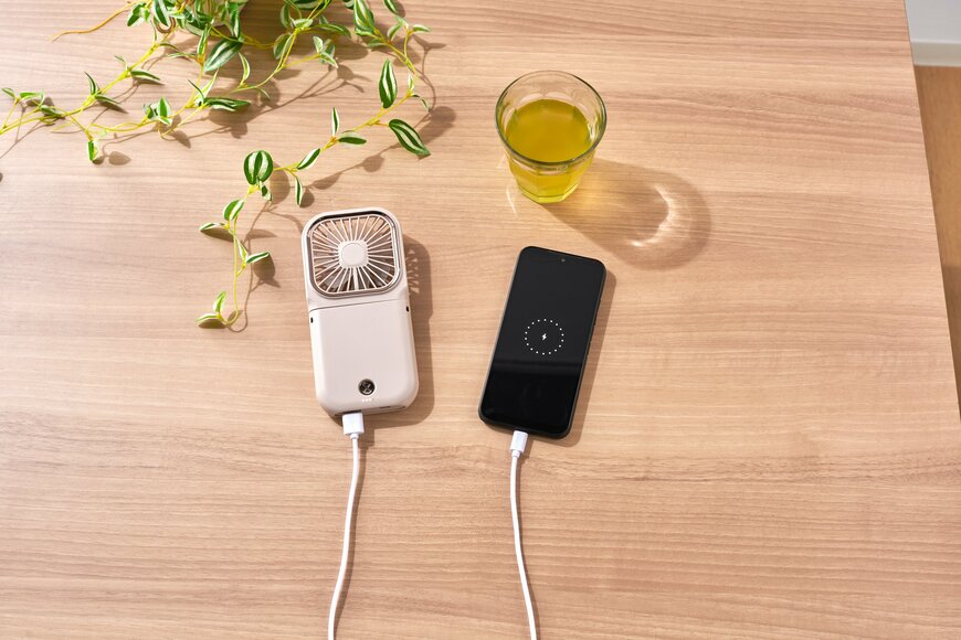 出所：イオン株式会社　5WAYスリムハンディファン