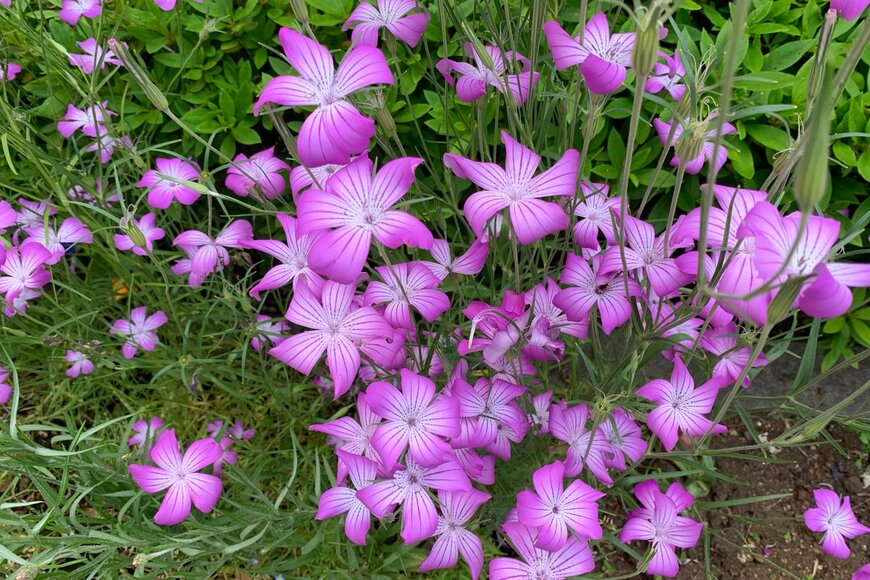 Nokzd/Shutterstock.com