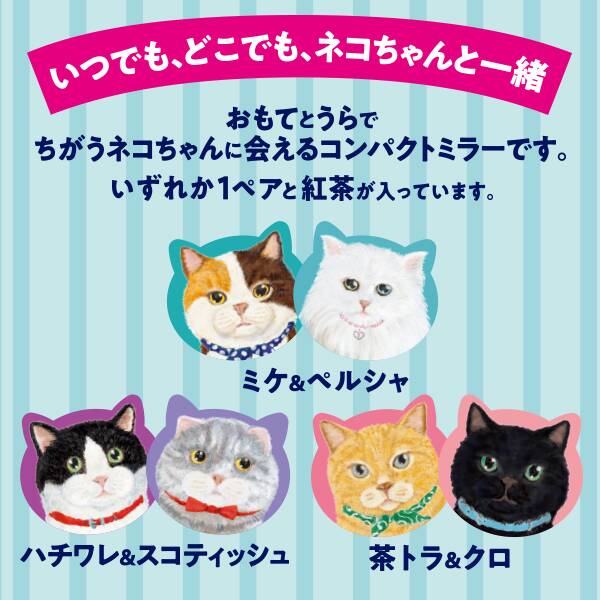 画像出所：カルディコーヒーファーム公式