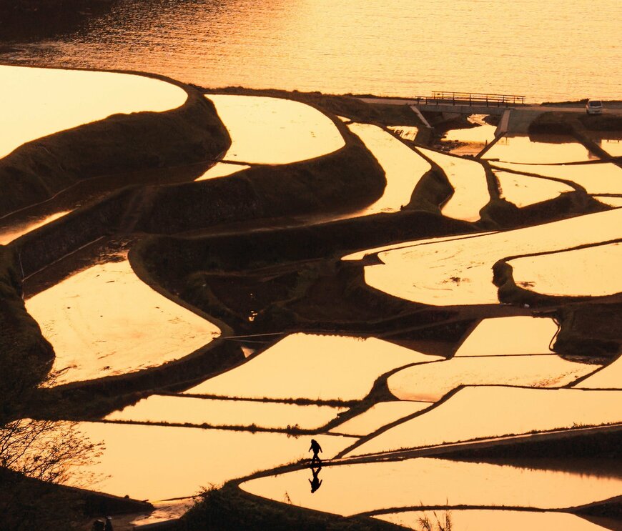 出所：@kodaikawahara