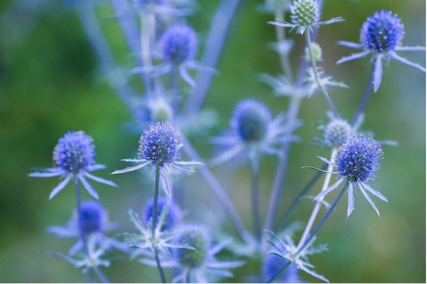 Jelena Safronova/istockphoto.com