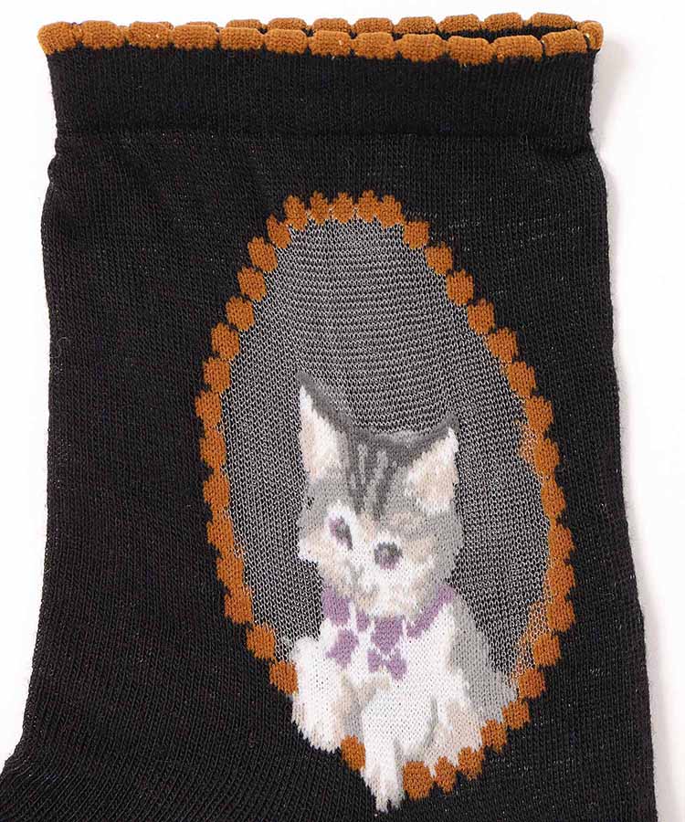 出所：ブルーブルーエ公式　キャット窓枠シースルーソックス