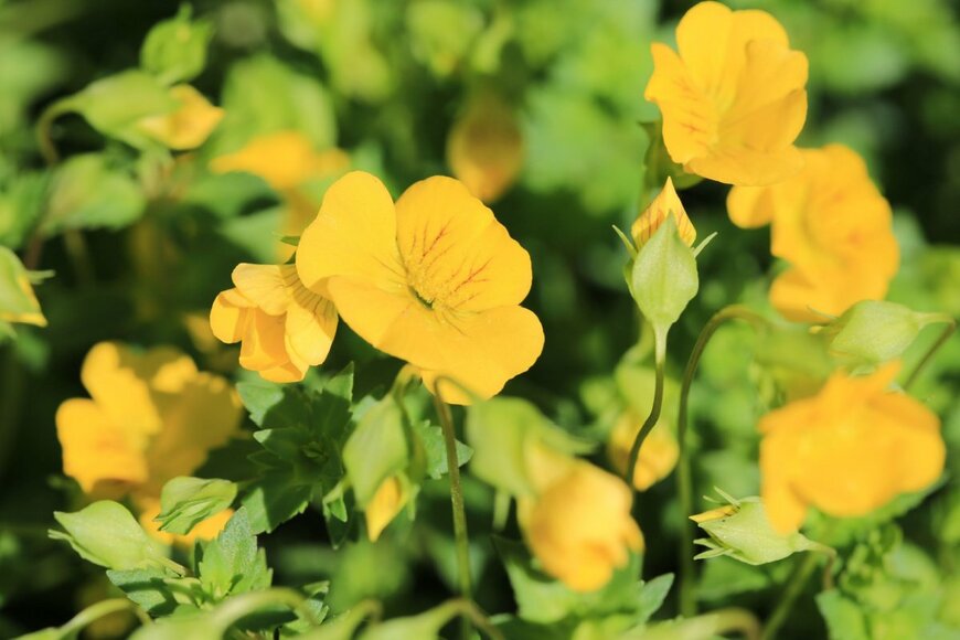 Traveller70/shutterstock.com