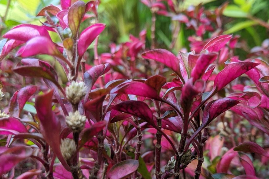 Masnug/istockphoto.com