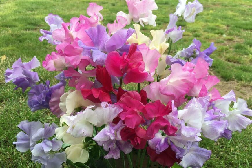 Messina2054/shutterstock.com