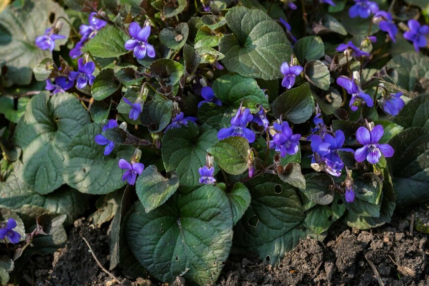 Meindert van der Haven/istockphoto.com