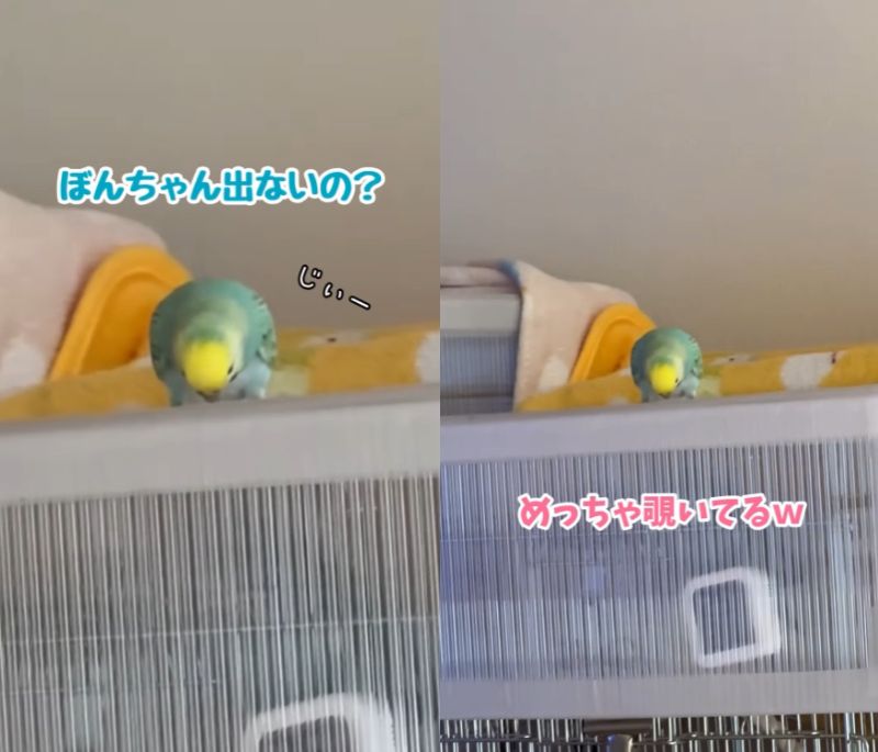 出所：daiinkoteikoku_soraoto