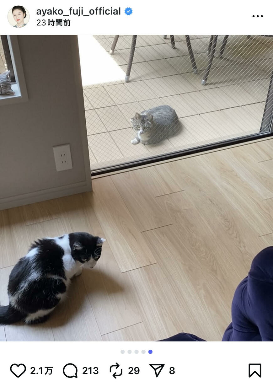 出所：藤あや子のInstagram（＠ayako_fuji_official）参照日：2025年8月14日