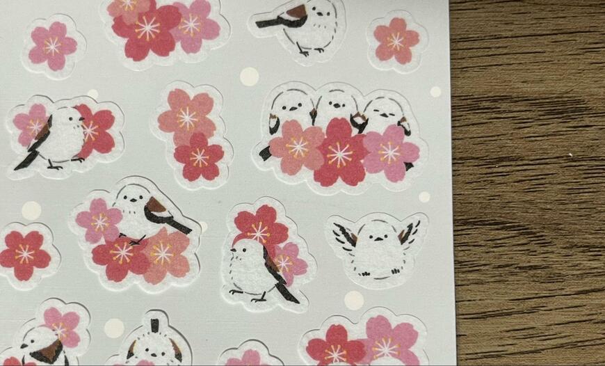 筆者撮影（ダイソー、ステッカー（桜とシマエナガ））