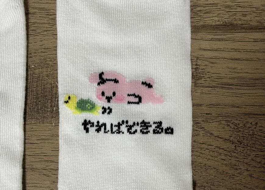 筆者撮影（セリア、レディースショート丈 やればできる）