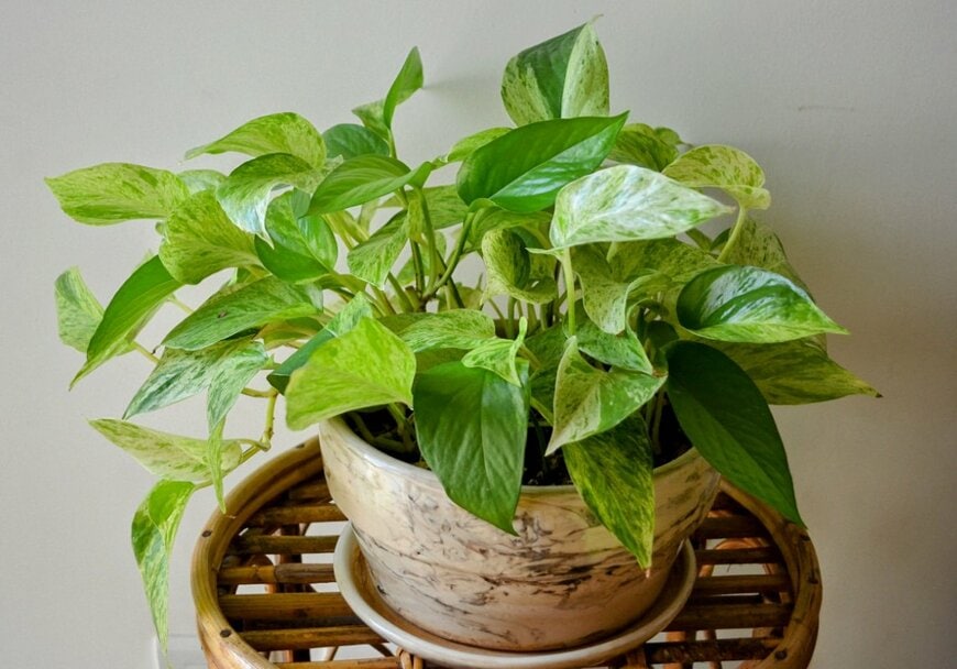 Bhupinder Bagga/shutterstock.com