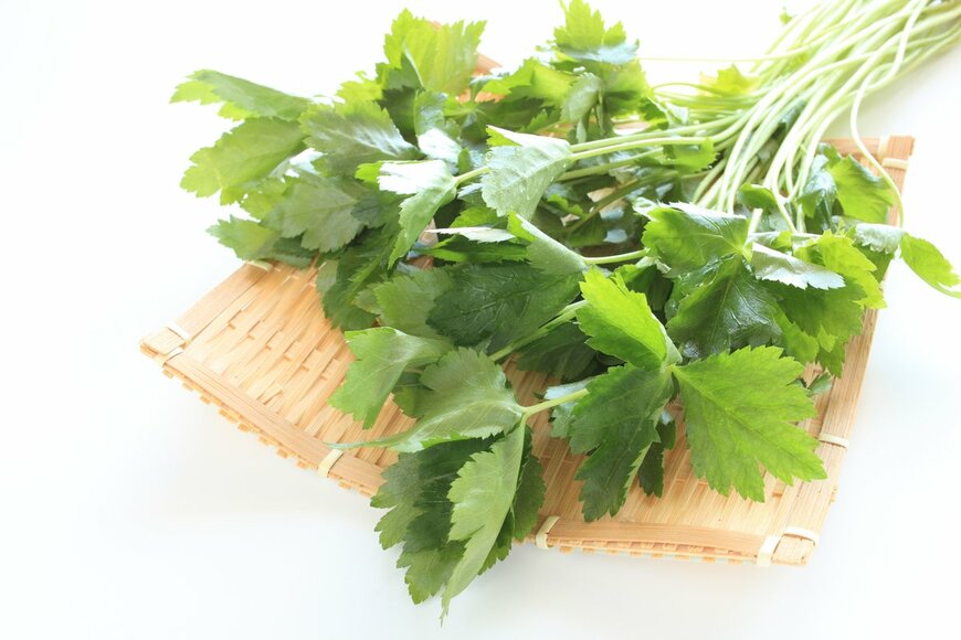 ミツバ（jreika/Shutterstock.com）