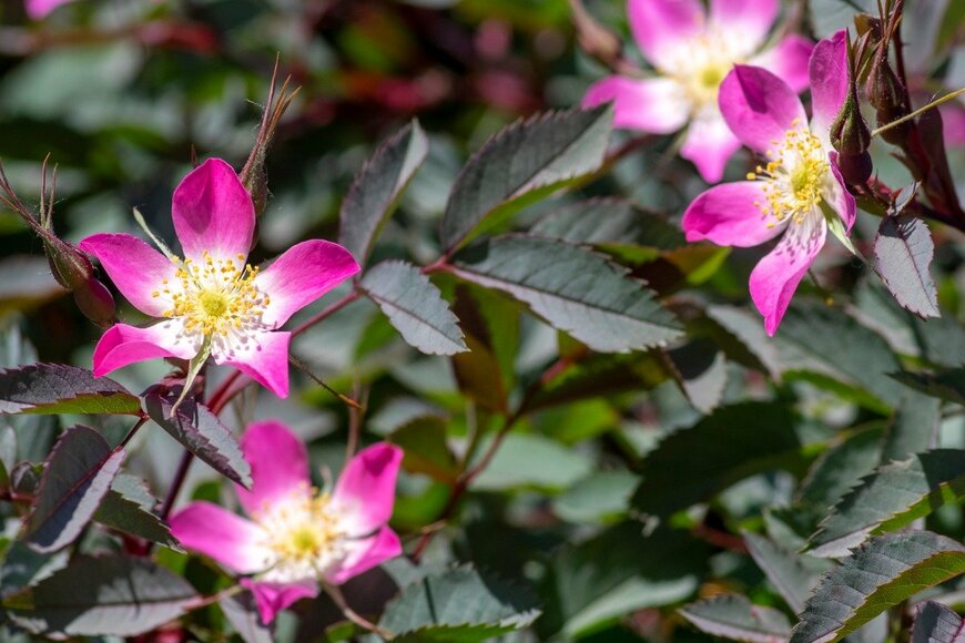 Iva Vagnerova/istockphoto.com