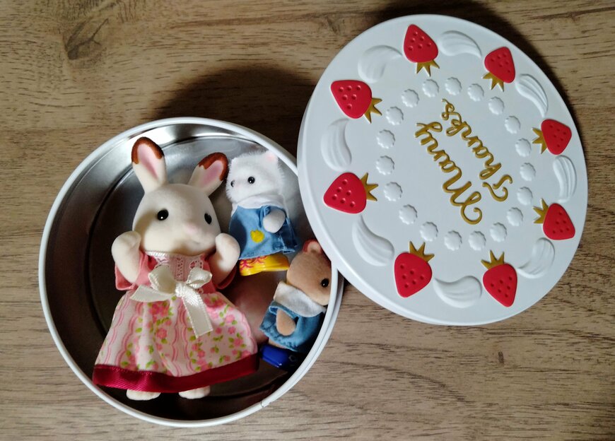 筆者撮影（セリア、ギフト缶 ケーキ）