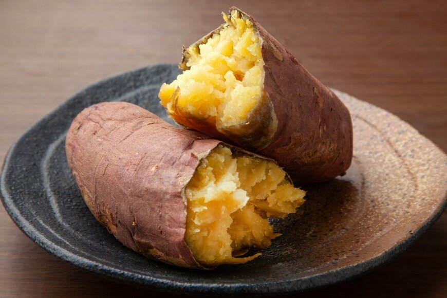 sasazawa/shutterstock.com