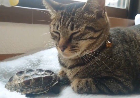 仲睦まじい様子