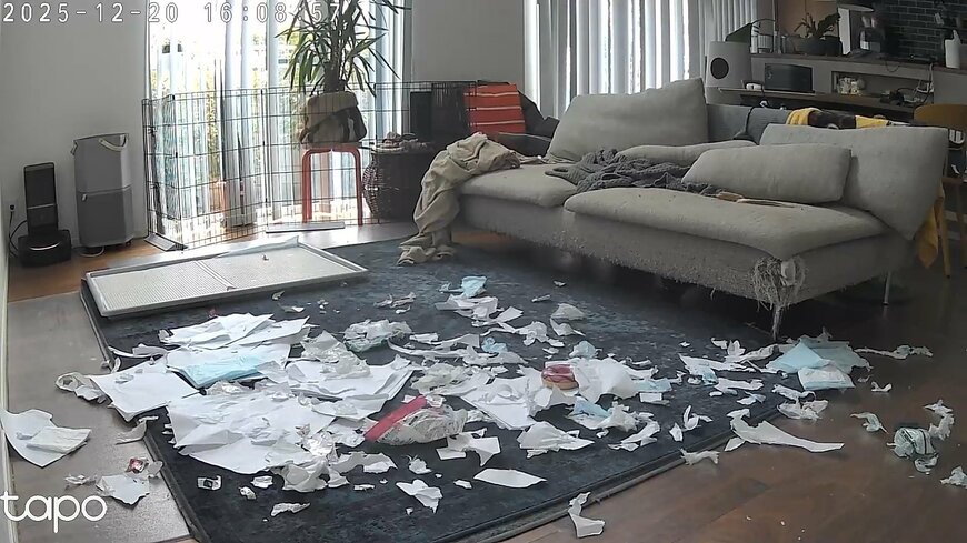 荒らされたリビング