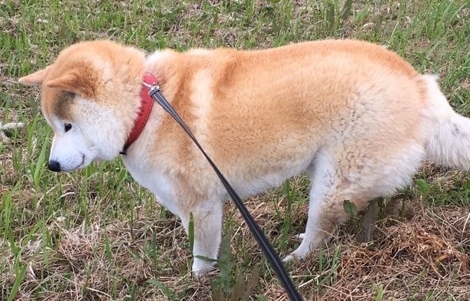 お外にいるときも「にんまり」