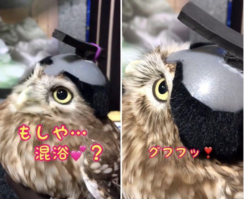 投稿動画のワンシーン