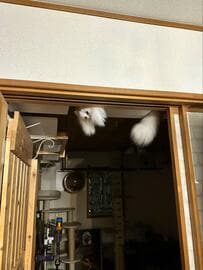 「何度見てもビビる」ドアを見上げると発見した「妖怪」　驚きの声が続々