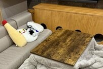 猛暑の中「保護された子猫」の2か月後が話題　「こたつでくつろぐ姿」に思わず感動