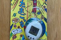 「頼んだやつ」と「親が買ってきたやつ」　平成レトロ玩具のあるあるがあまりにも懐かしすぎる