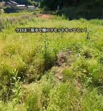 【草刈り】雑草が生い茂った〈広大な畑〉をたった1日で〈スッキリ空間〉へとリセット！「きれいになりましたね」など称賛の声続々
