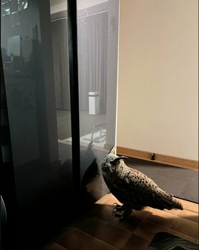 投稿写真のワンシーン