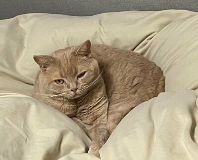 「ジト目」もかわいいつなくん