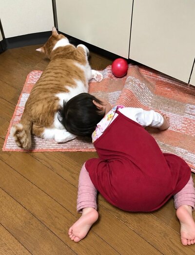 まくらにされるふうたくん