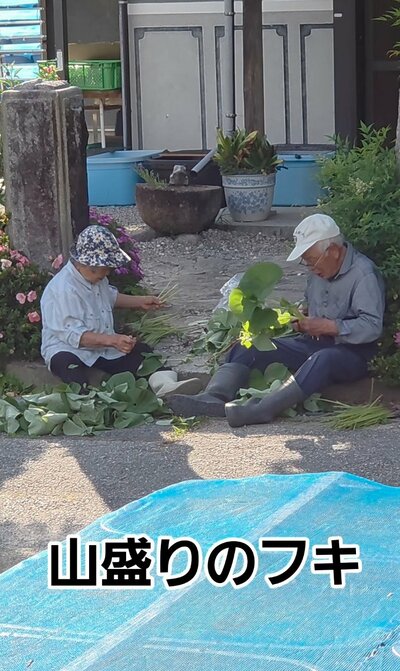 80代の夫婦